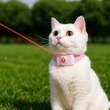 Catify LaserTease™ Smart Collar