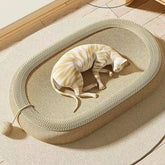 Catify™ Oval Scratching Bed + PlayBall