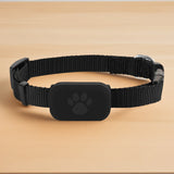 🐾 Product: Catify™ GPS Tracker Collar