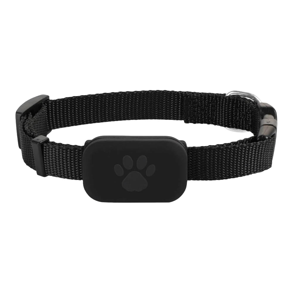 🐾 Product: Catify™ GPS Tracker Collar