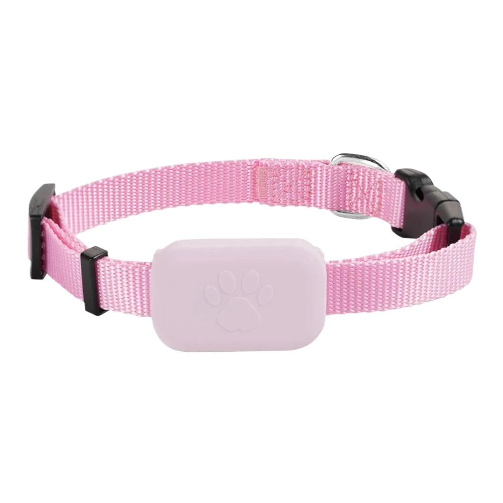 🐾 Product: Catify™ GPS Tracker Collar
